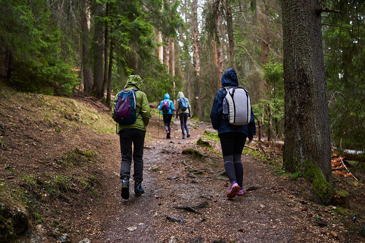 Gear up for your rainy-day hike - Carrickmines Park